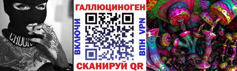 Псилоцибиновые грибы Psilocybe Яблоновский